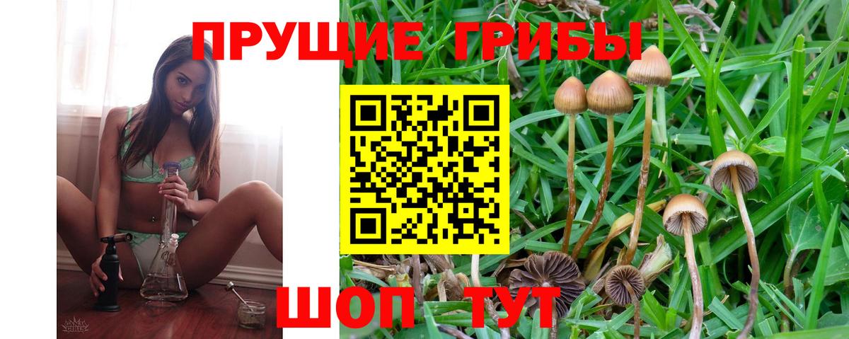 Псилоцибиновые грибы Magic Shrooms Красный Сулин